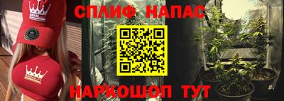 дживик Кингисепп