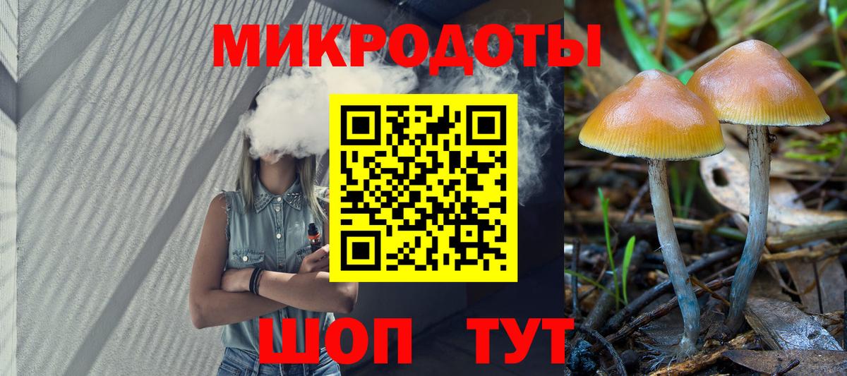 Чайковский  Галлюциногенные грибы Psilocybe  Вход с VPN 