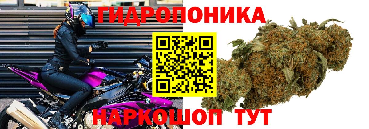 Бошки Шишки AK-47 Чайковский